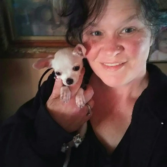 Meet the posher - Picture 1 of 1